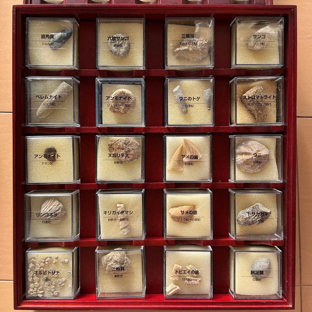 ディアゴスティーニ　トレジャーストーン化石・鉱石・宝石コレクション　195個+1