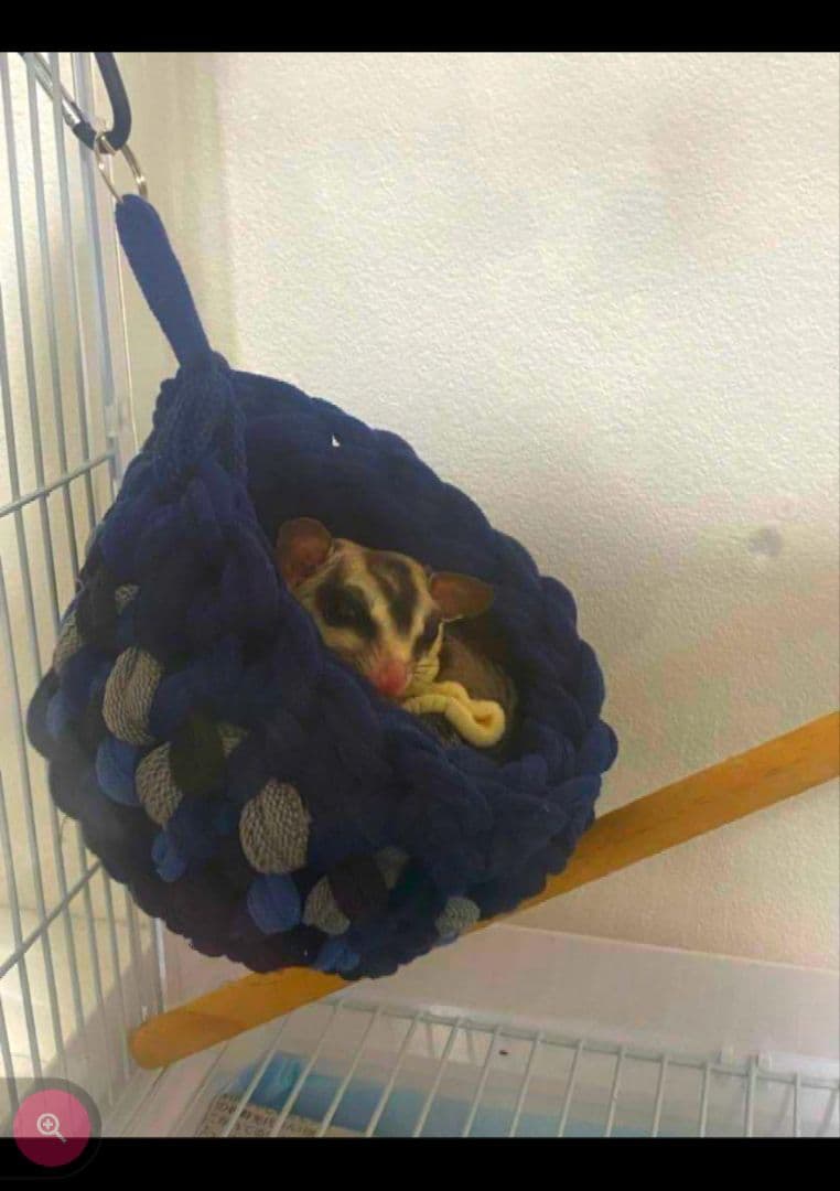 モモンガかごポーチ♡カラーお任せ１個♡中サイズ♡ハンギングバスケット