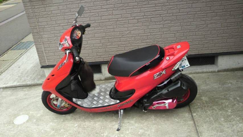 ライブ ディオ ZX dio Lowダウン Fサスペンション 3㎝down