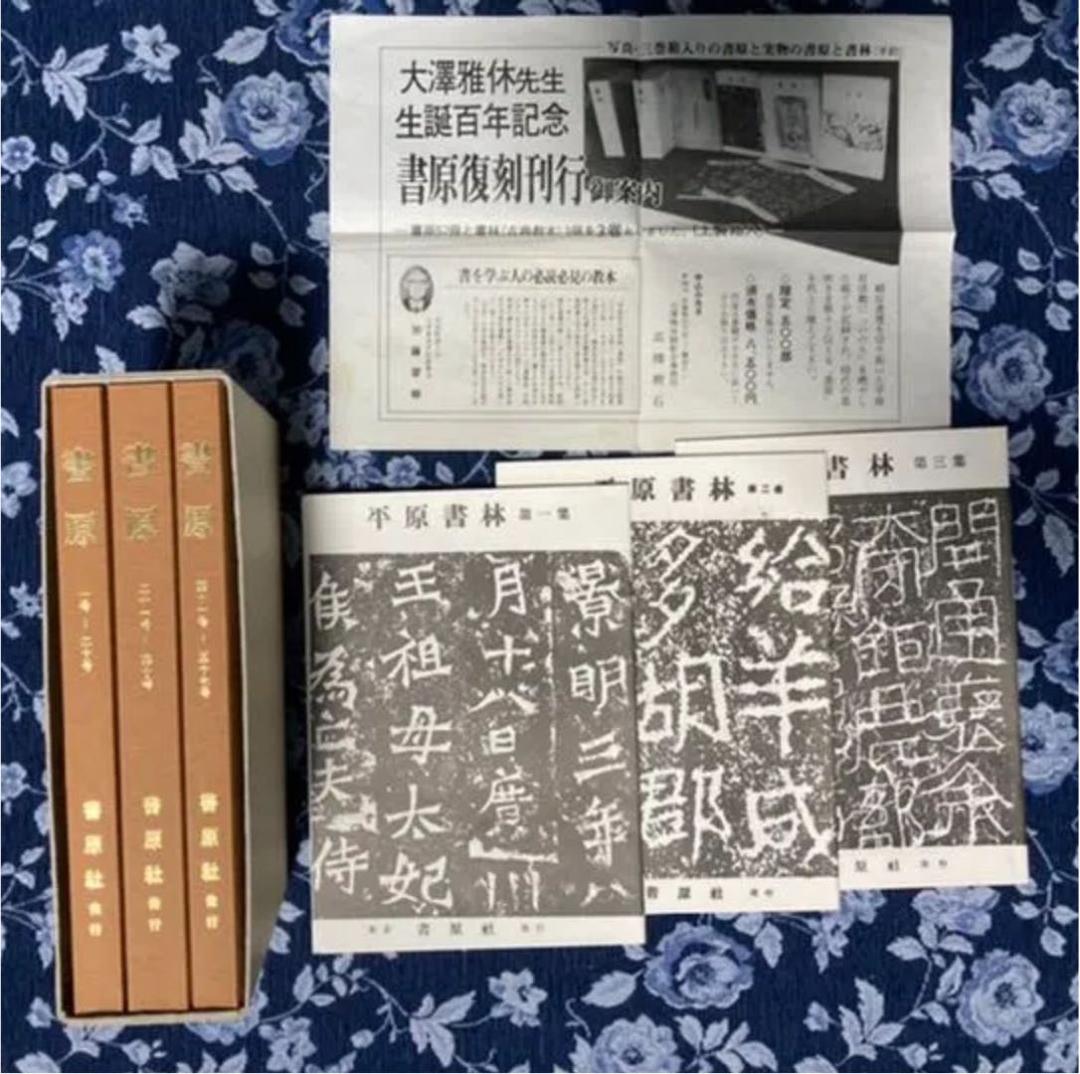 大澤雅休　書原　　書道論説　書原 書林　古書道　前衛書道