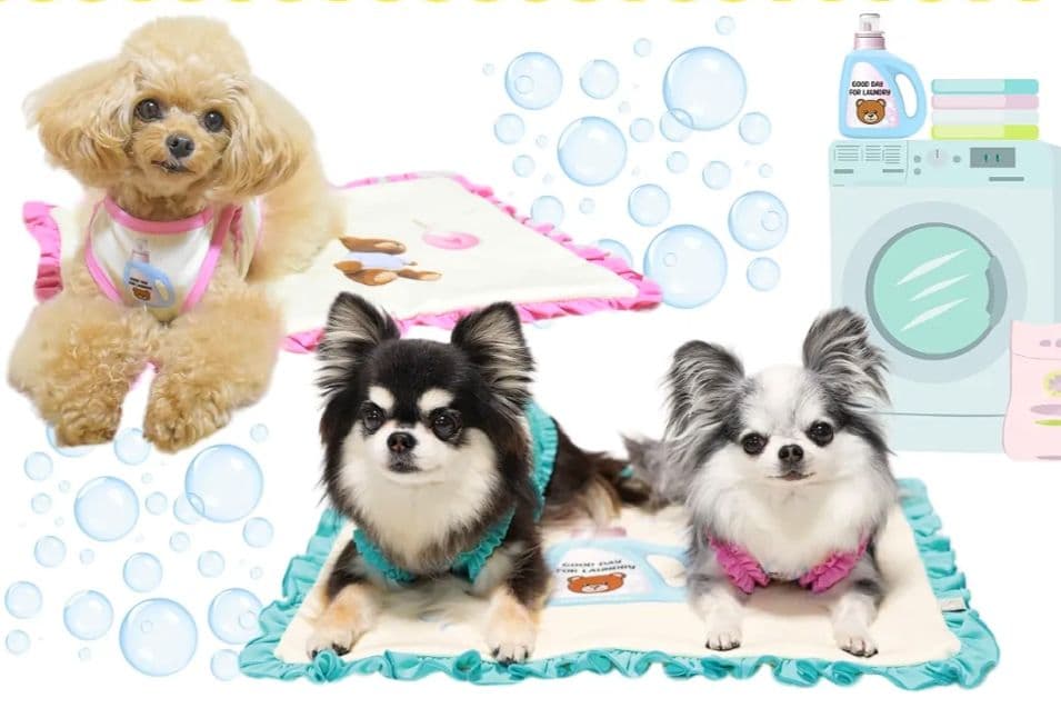 E Laundry BearフリルタンクXS＆マット セットcircusサーカス