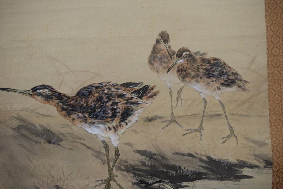 紫峰/荻田/秋草水禽図/クイナ図/掛軸/名家伝来/Z-506