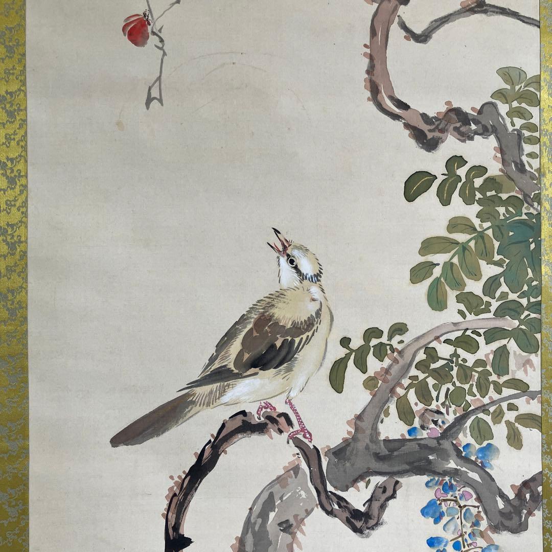 掛軸•日本画　森山香浦「藤に百舌鳥」