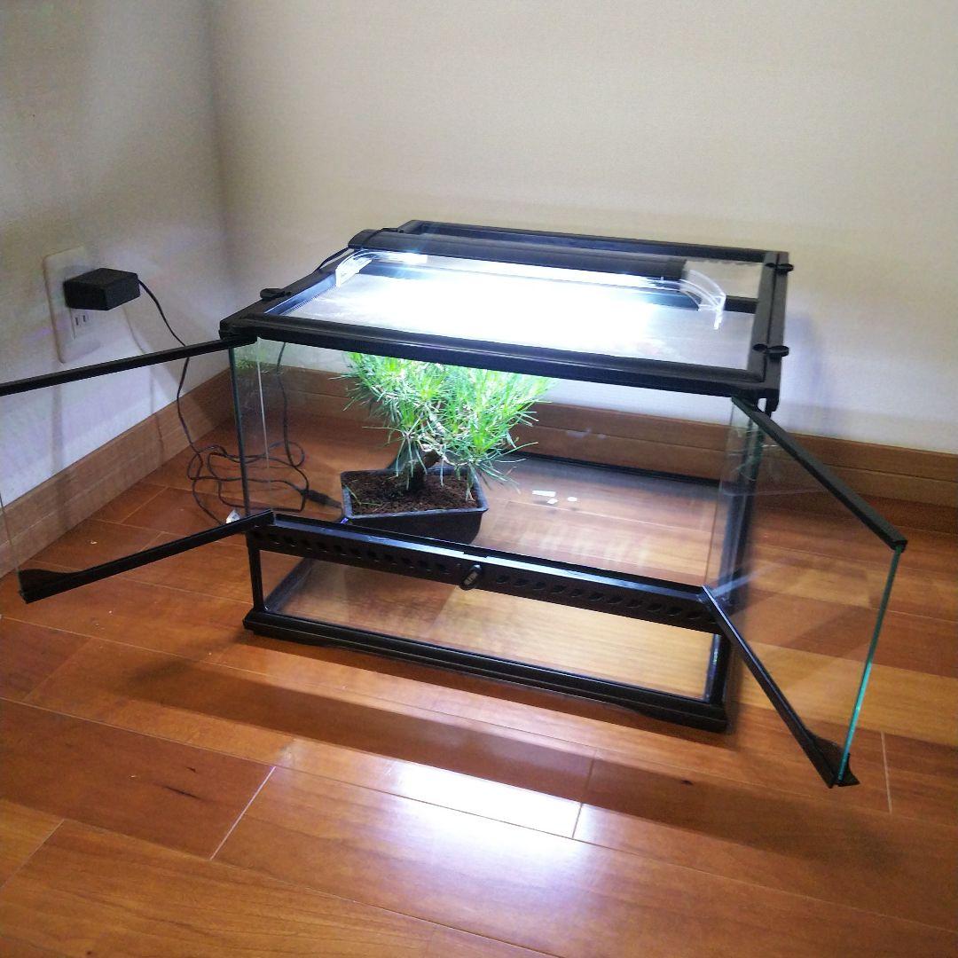 【受注生産】室内日本庭園