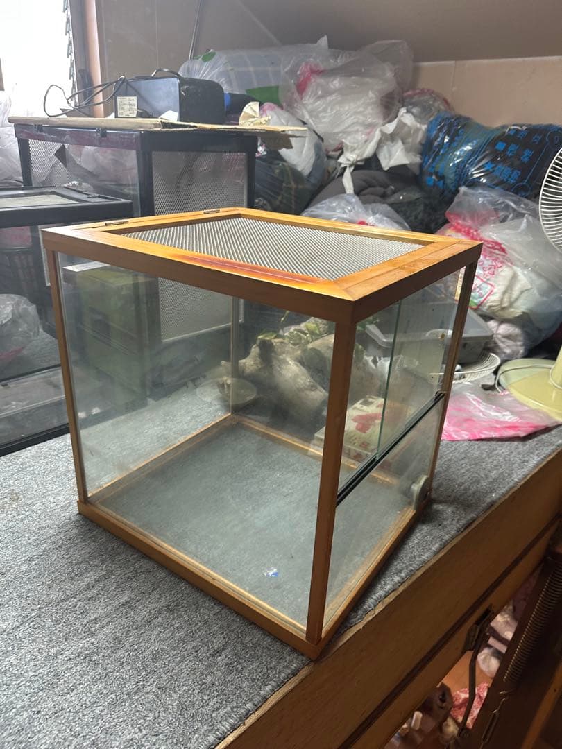 ［引き取り限定］中型ガラス飼育ケージ 600木の枝付きおまけケージ2個