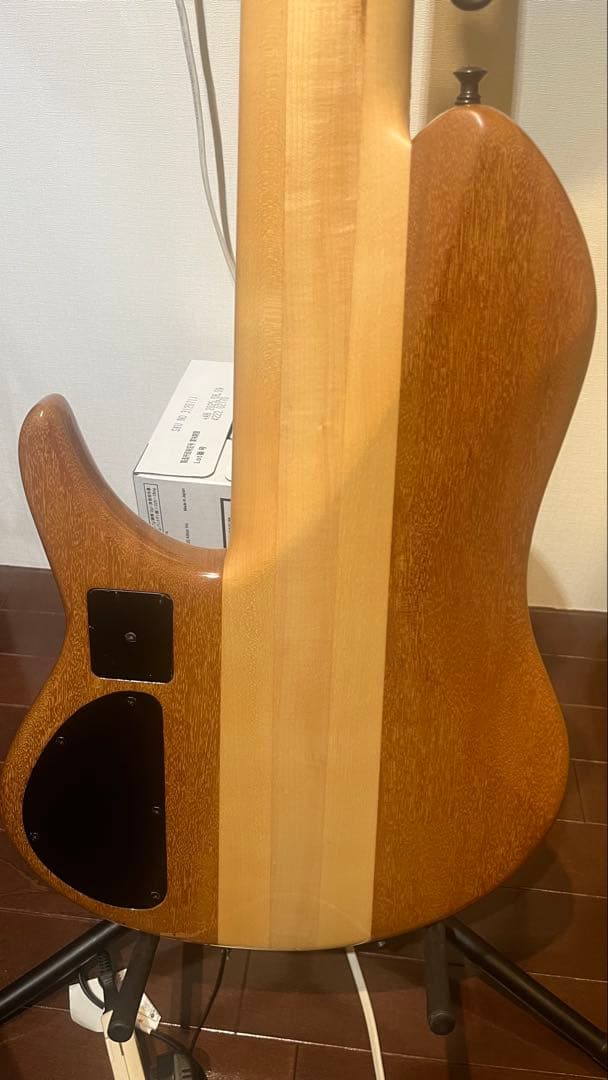 ベース Phoenix/PHS-6 SC Buckeye Burl