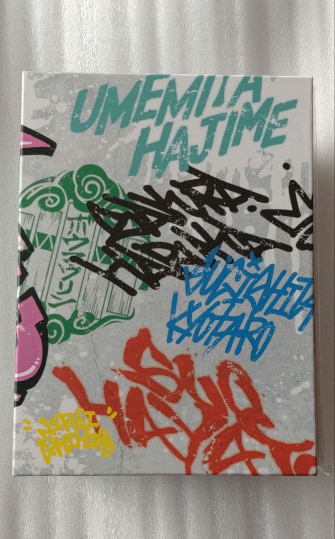 WIND BREAKER ウィンブレ 円盤 完全生産限定版 DVD