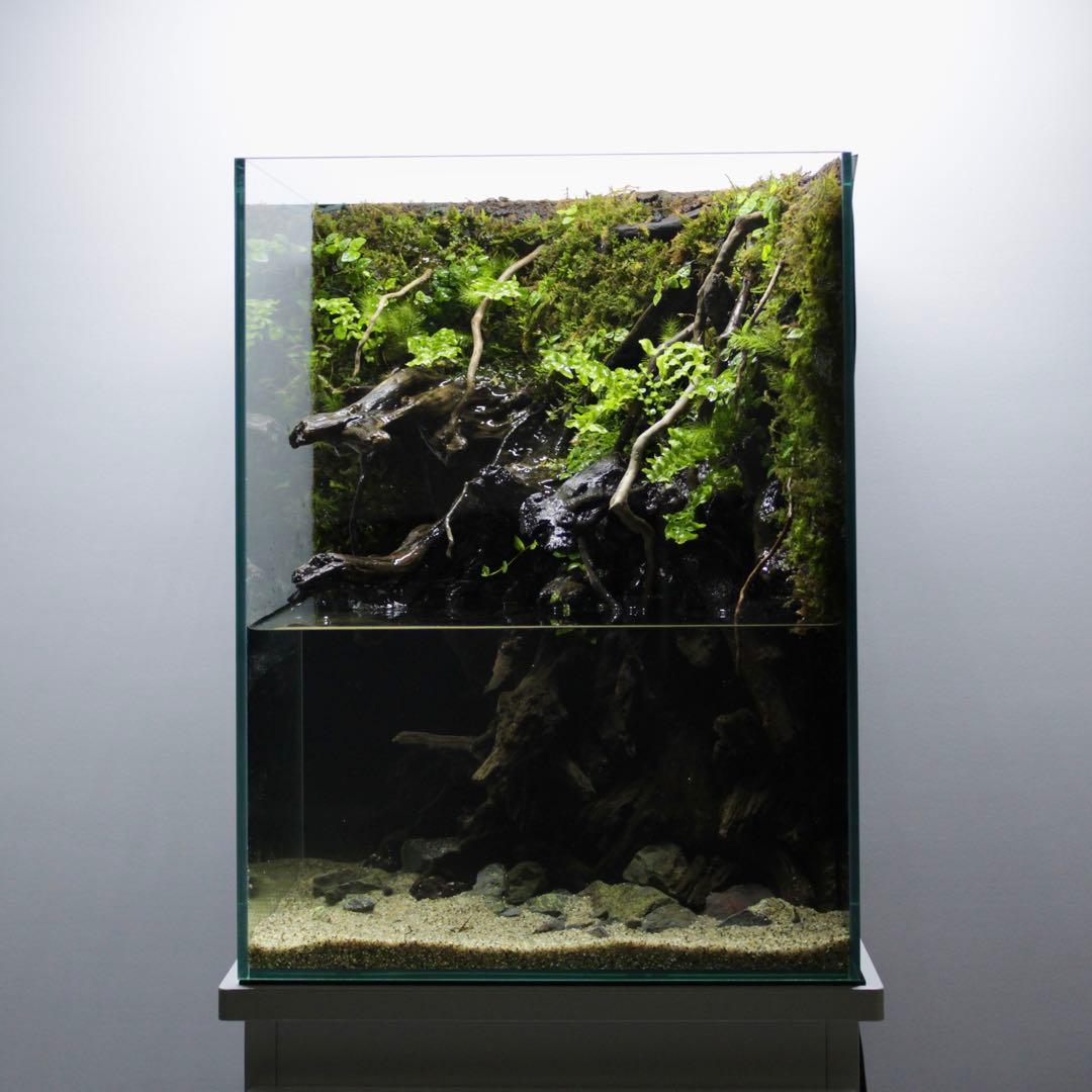 るりぃい　オーダー作品　アクアテラリウム