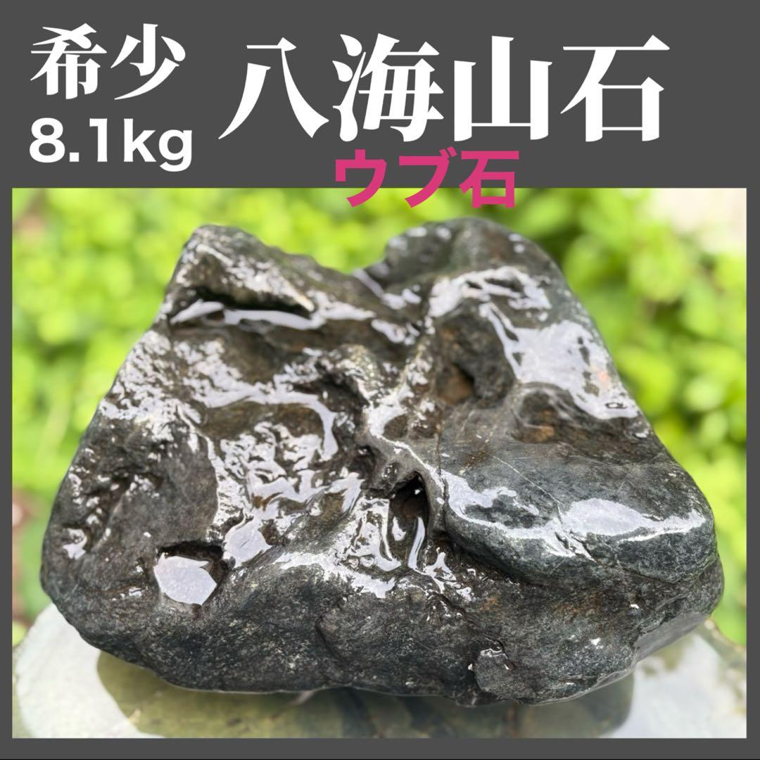 【お値下げ　希少 八海山石8.1kg】アクアリウム ウブ石 ジャグレ石 水無川