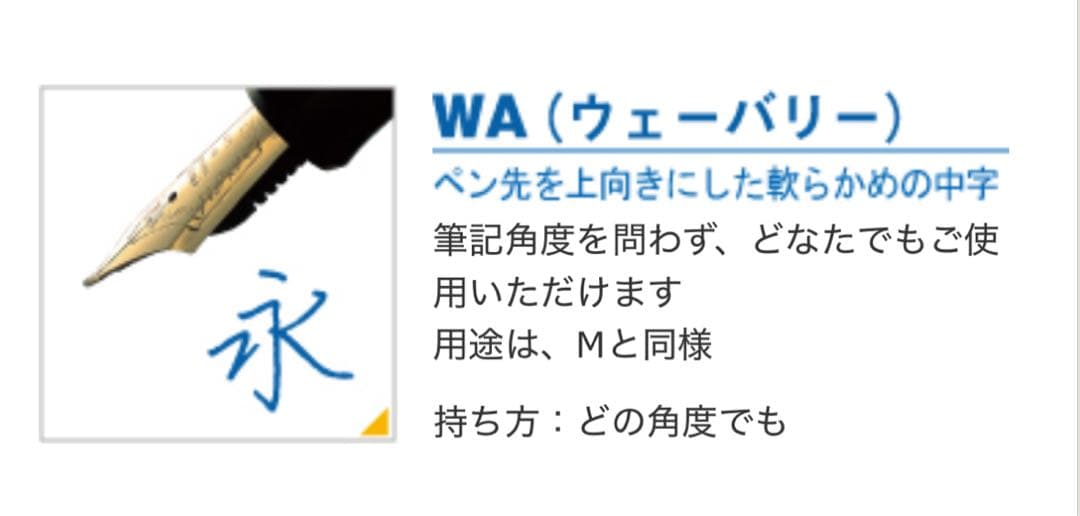 k*e様 パイロット CUSTOM 743