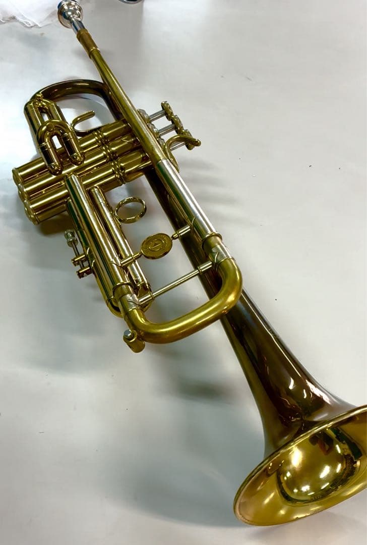 Holton T101 カスタム