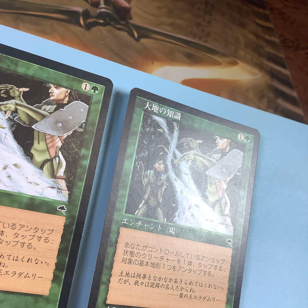 *バラ売り可* 大地の知識/Earthcraft TMP日本語3枚セット
