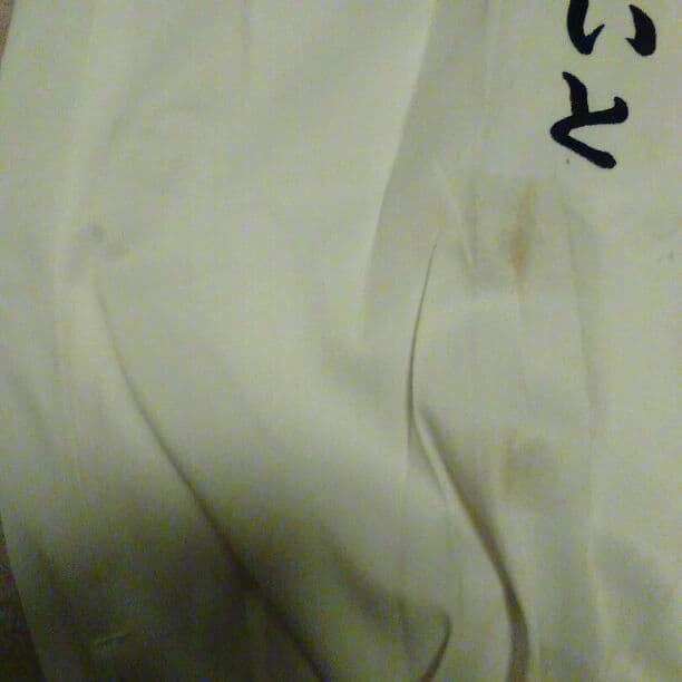 値下げしました！！！湘南乃風 参戦服 ニッカ