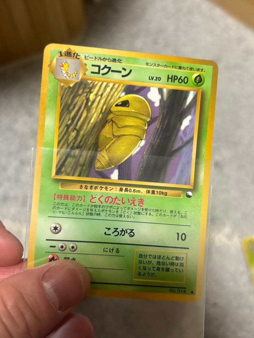 ポケモンカード　旧裏　拡張シート　まとめ