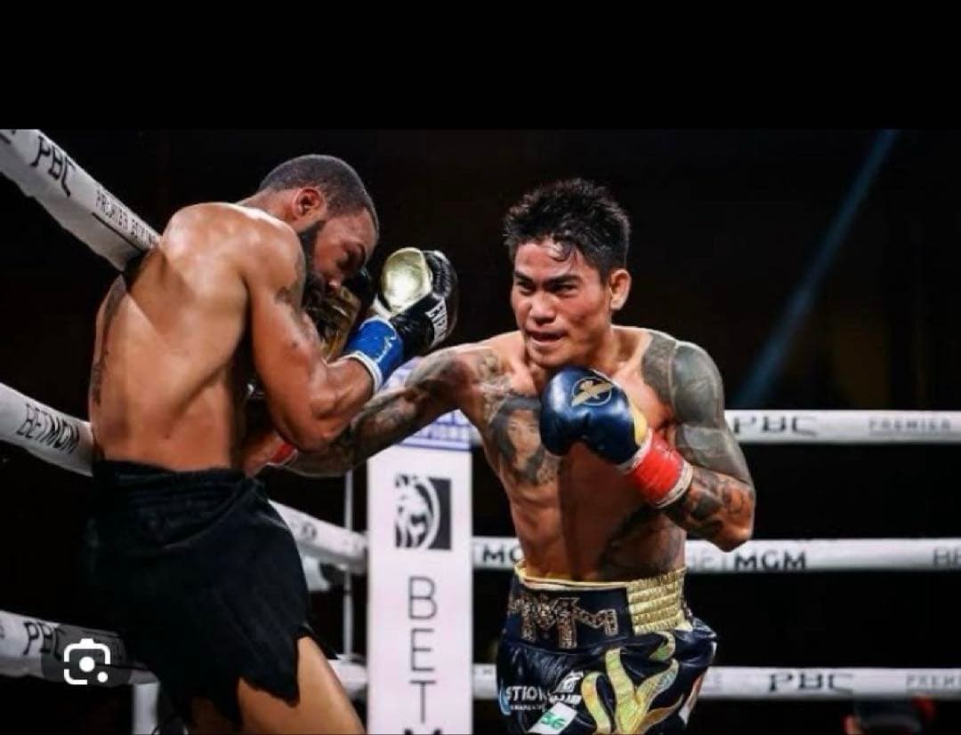 日本未発売HAYABUSA ボクシンググローブ 黒 試合用 8オンス