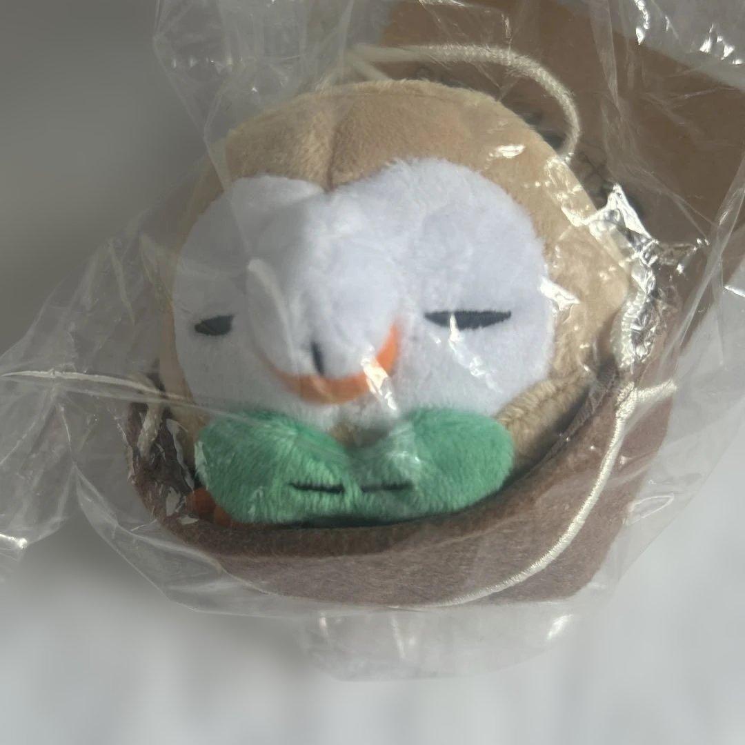 Pokémon Grassy Gardening モクロー