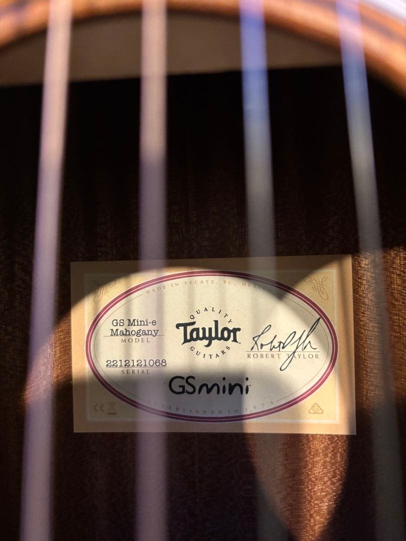 Taylor GSmini-e mahogany テイラー　エレアコ
