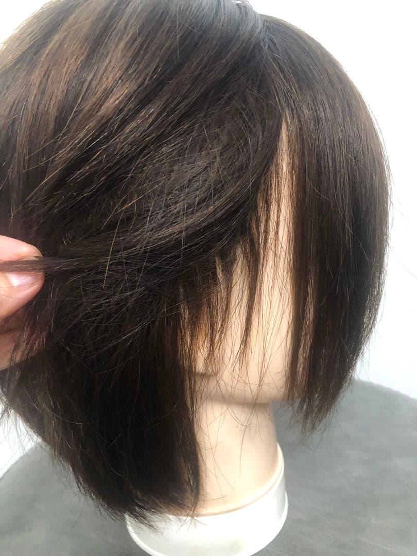 人毛王道ショートウィッグ ブラウン　未使用