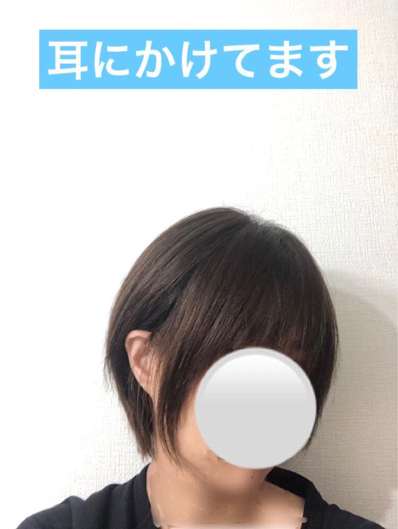 人毛王道ショートウィッグ ブラウン　未使用