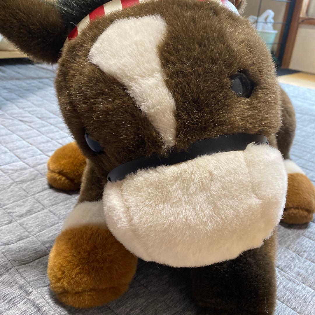 競馬　トーカイテイオー