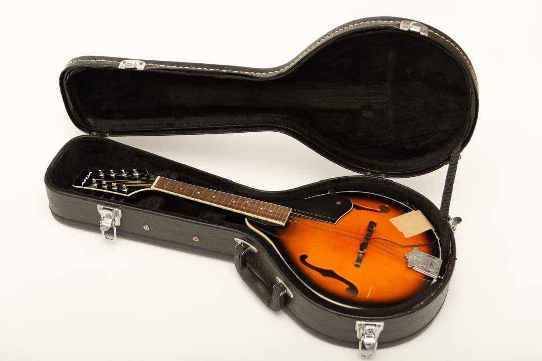 【値下】【中古】ARIA アリア マンドリン AM-20 ピックアップ・ケース付