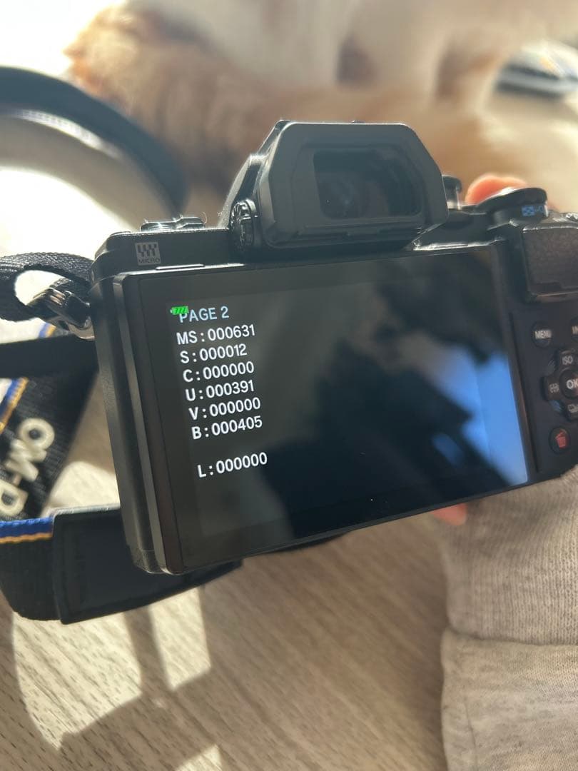 【OLYMPUS OM-D E-M10 MarkⅢ】美品・シャッター数631回