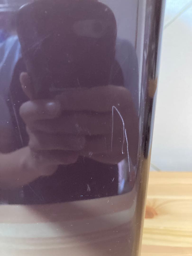 ☆ Panasonic GOPAN SD-RBM1001 ゴパン パナソニック