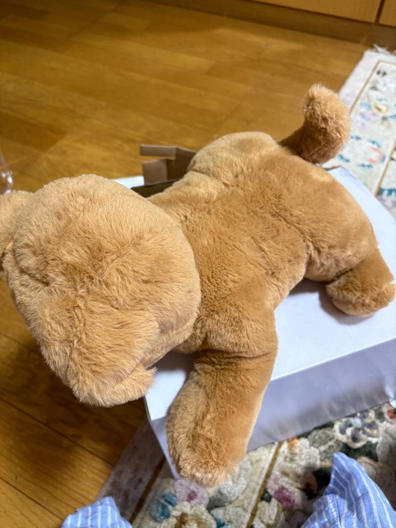 AIロボット　タカラトミー　ダッキースター