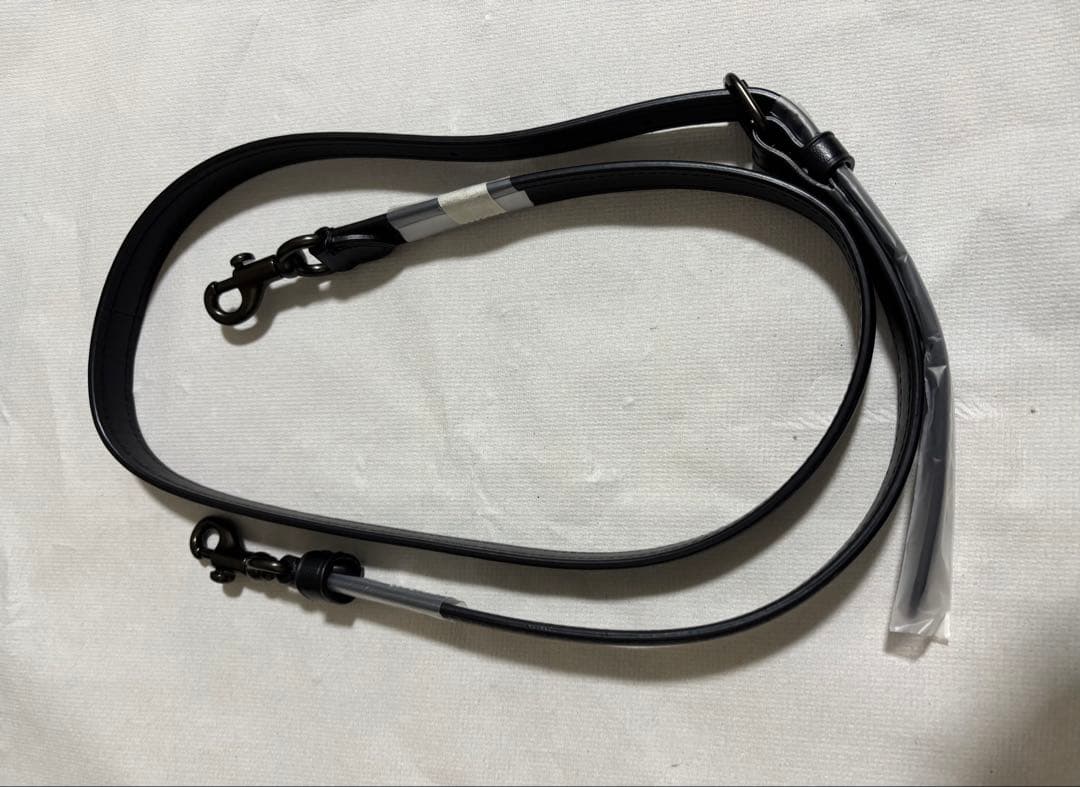 COACH アンドレア キャリーオール 2WAYショルダーバッグ CP086