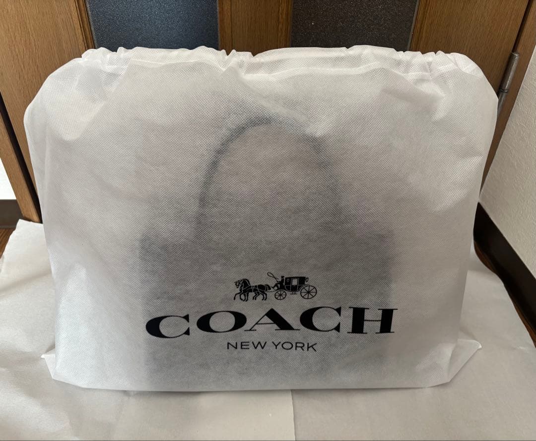 COACH アンドレア キャリーオール 2WAYショルダーバッグ CP086