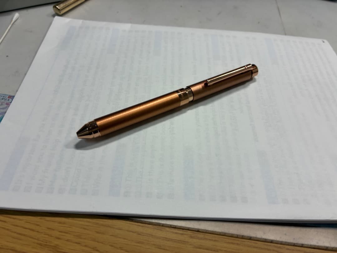 ゼブラシャーボx ts10 （限定）ブロンズウォーカー　野原工芸　こうぼうせつ