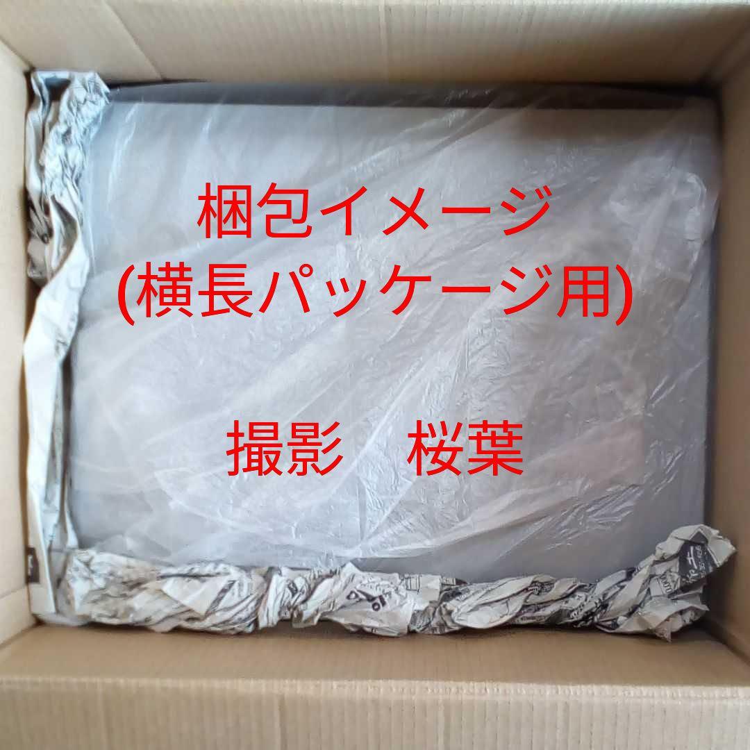 ガンプラ pg ユニコーンガンダム2号機 バンシィ・ノルン 最終決戦Ver.