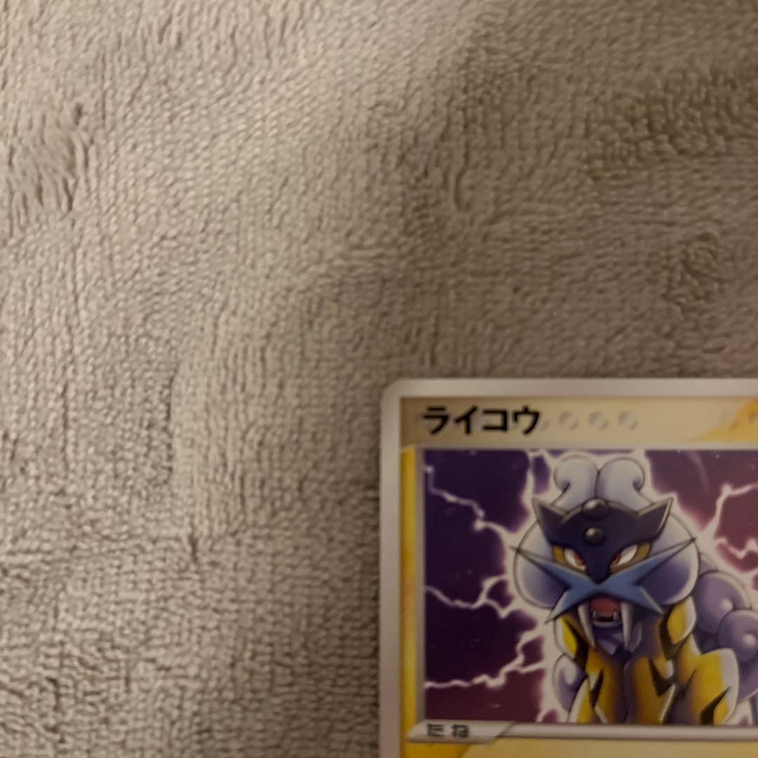 ライコウ ポケパークプレミアムファイル 005/009