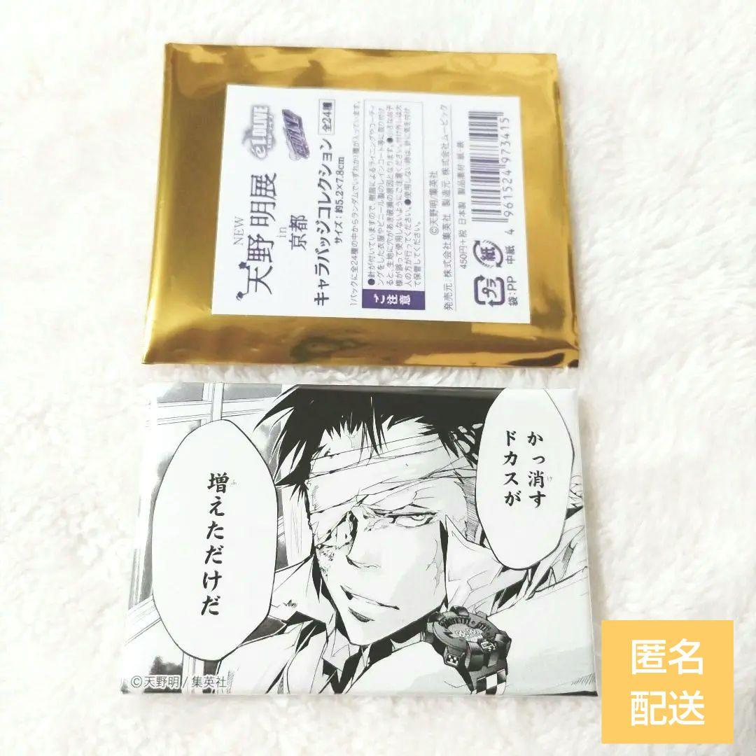 〖匿名配送〗リボーン ザンザス キャラバッジコレクション 天野明展