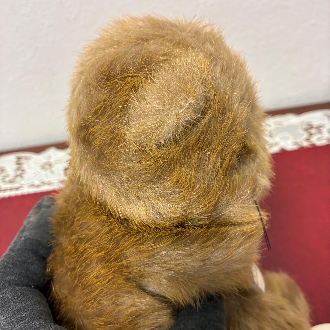 ファースト　らっこ　ラッコ　ぬいぐるみ　貝　FIRST