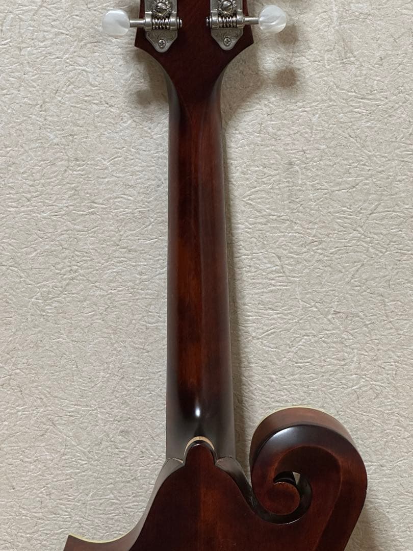 弦楽器 Eastman MD315/Antique Red