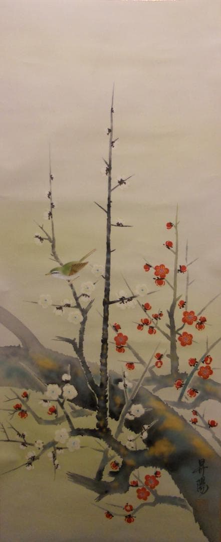 掛け軸 昇陽 作 『 梅鶯之図 』 絹本 共箱 希少 軸装 茶道具 掛軸 美品