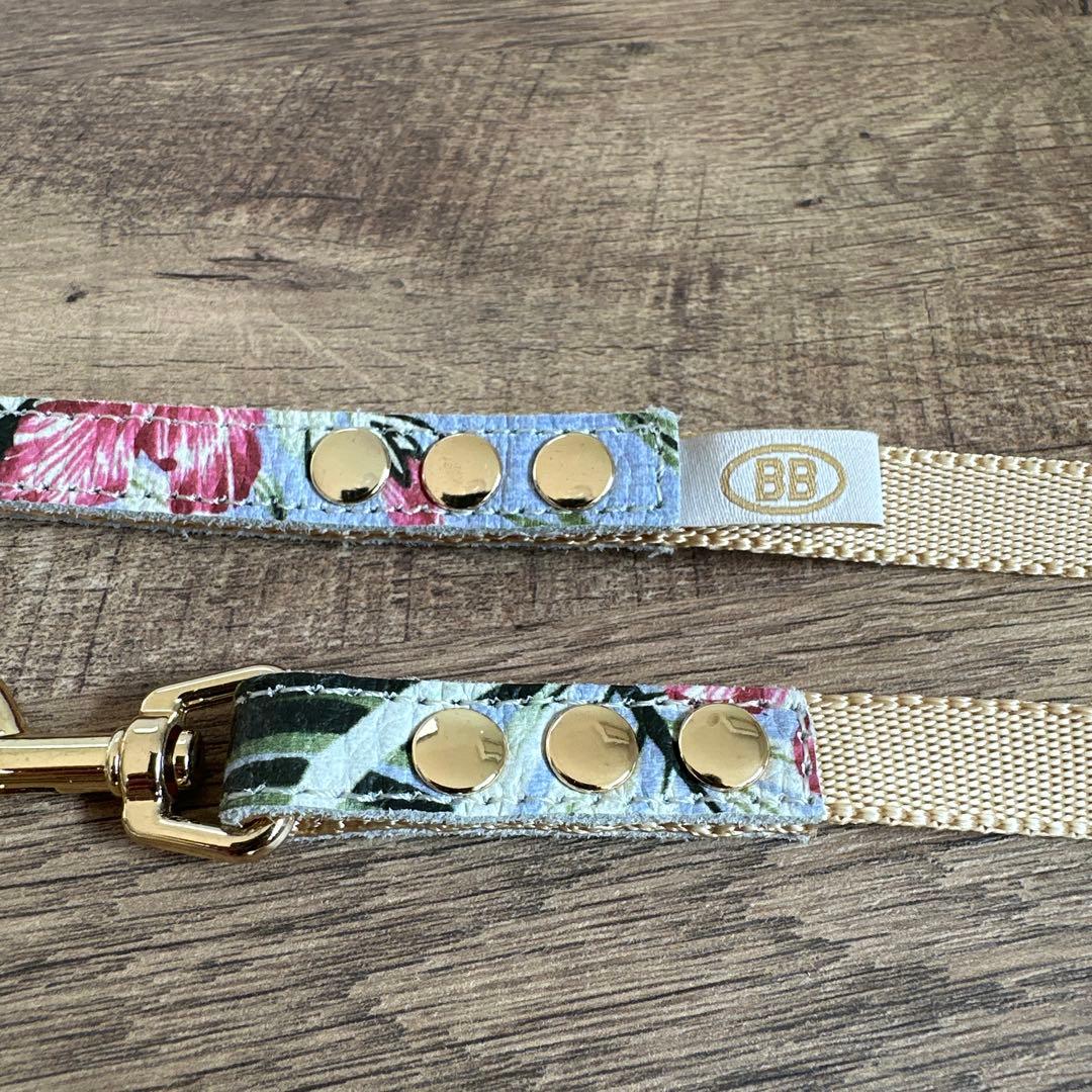 バディベルト　 BB バハマ 5号　 アクセントリード