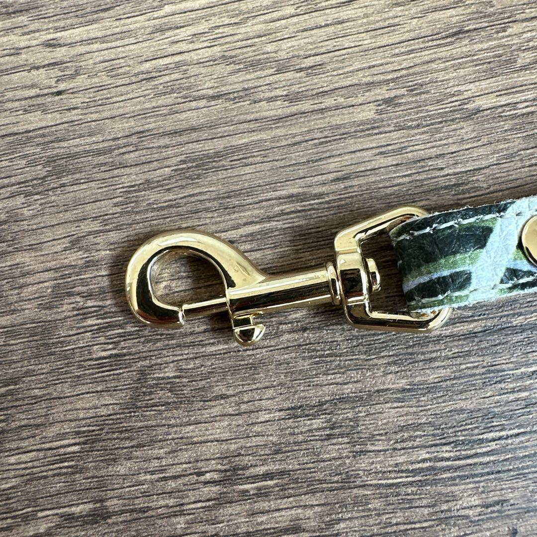 バディベルト　 BB バハマ 5号　 アクセントリード