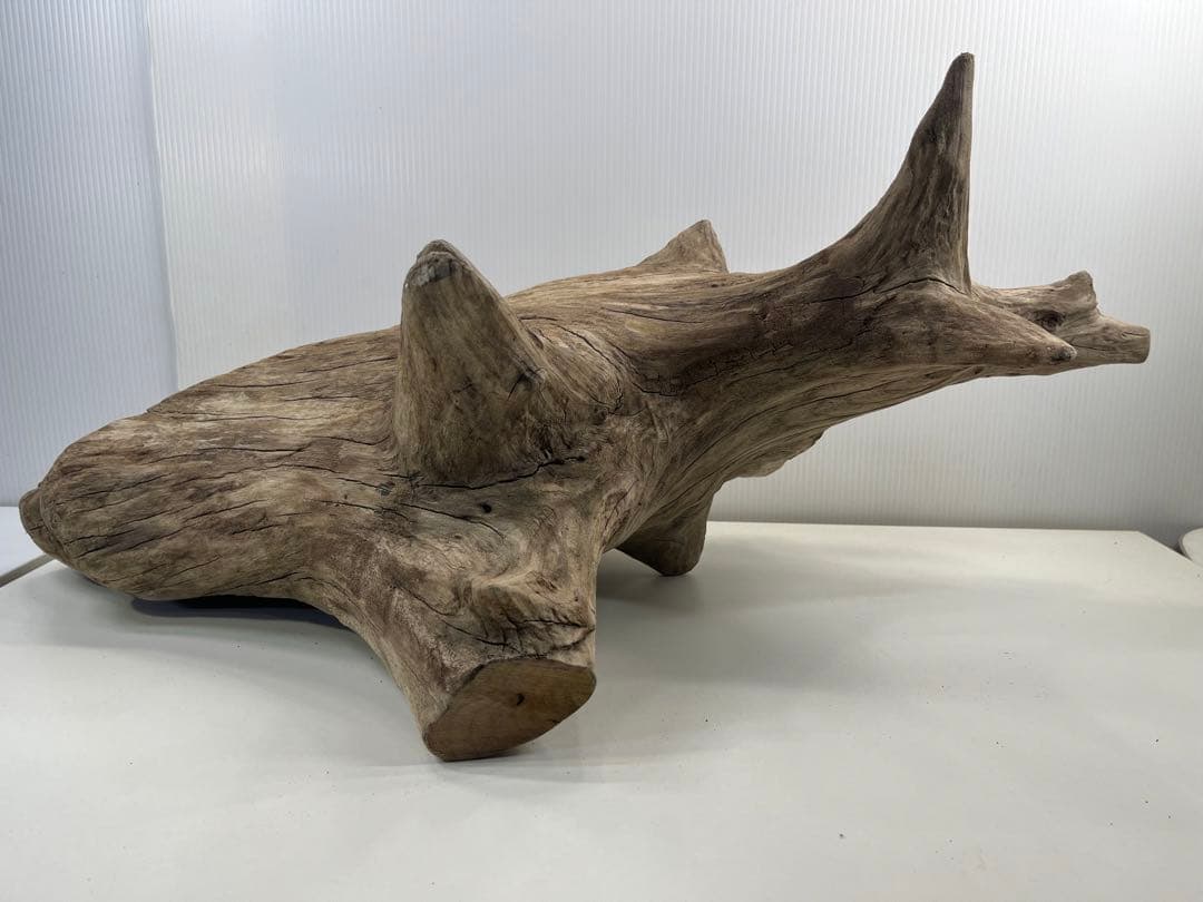 V68特大流木 アク抜き済み流木 爬虫類シェルター 登り木 インテリア 生け花