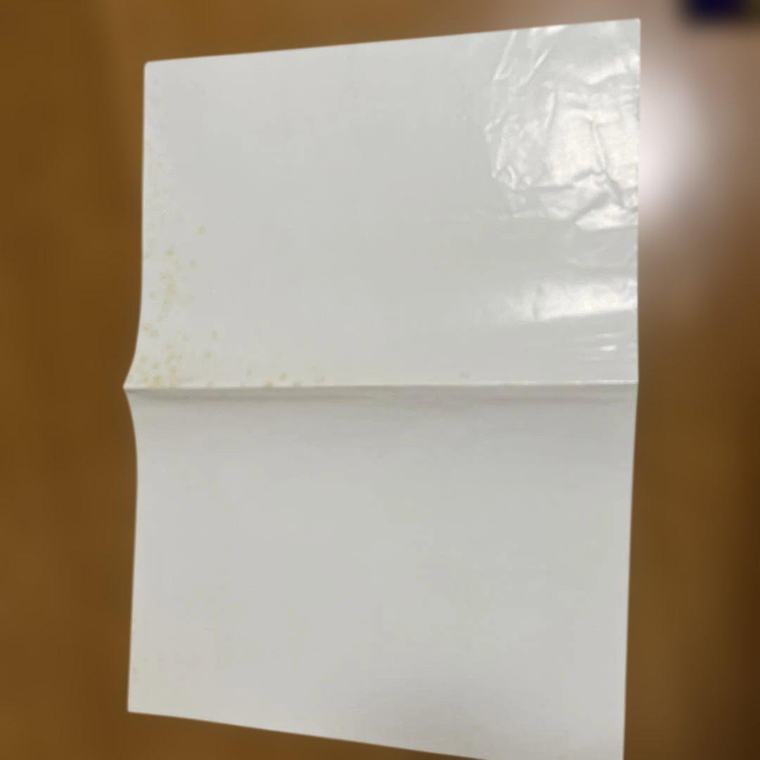 ポケットモンスター 1999 カレンダー