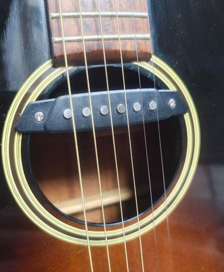 TAKAMINE DSP-410 ニューヨーカー PU付エレアコ　長渕剛