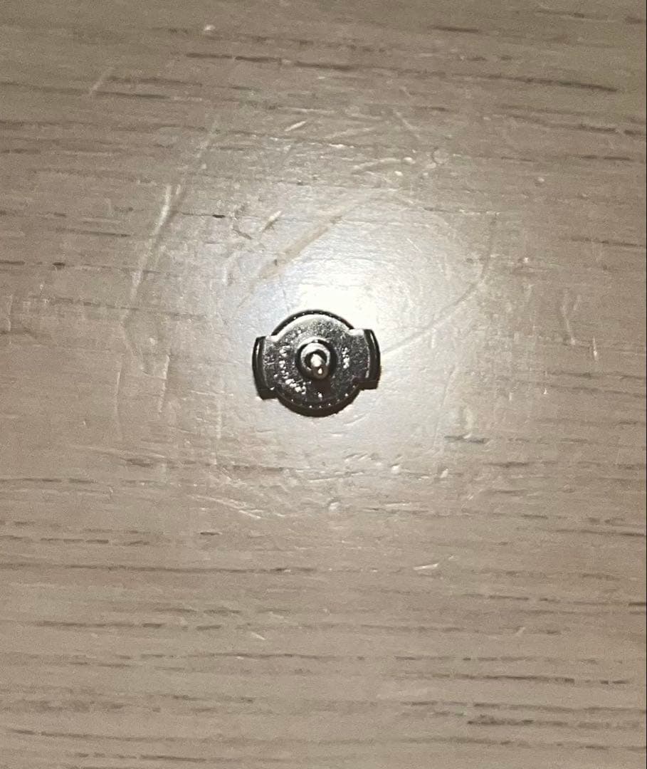 ANGARA 天然ルビーピアス