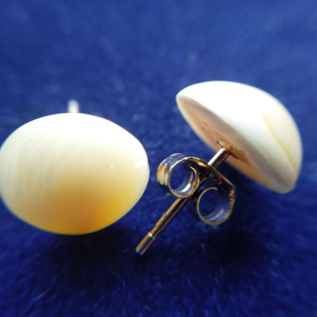 鯨歯　マッコウクジラ　イヤリング＆ピアス