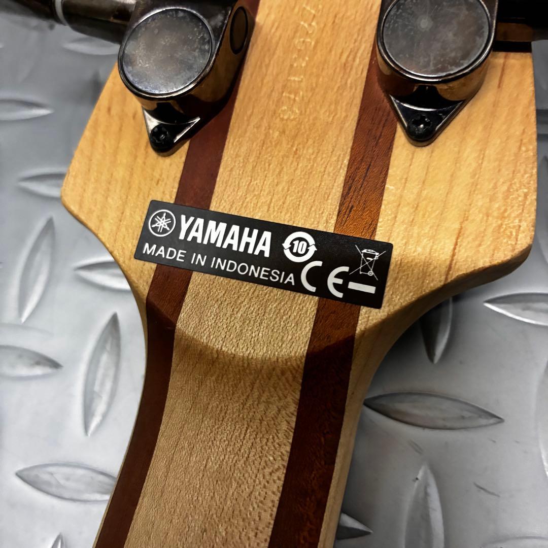 【パッシブ・アクティブ切替機能搭載】YAMAHA TRBX504 ブラック