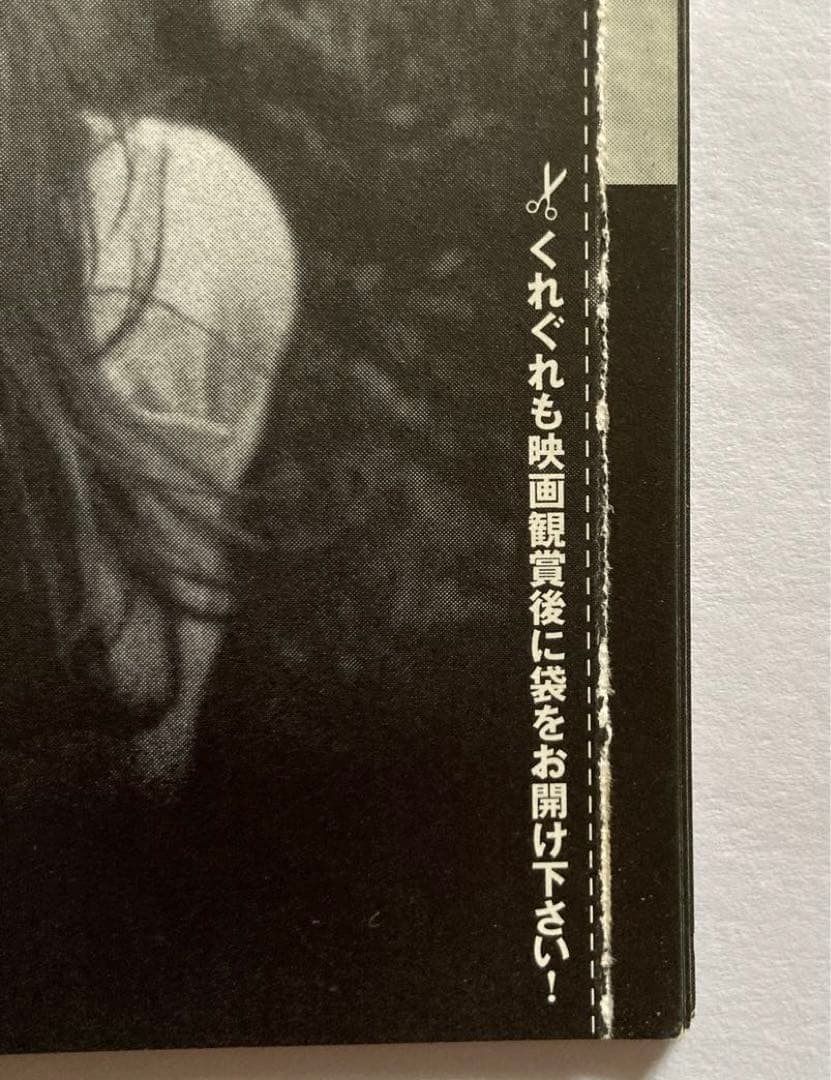 ファイナル・デスティネーション映画パンフレットお宝発見ホラーMANIAX希少レア