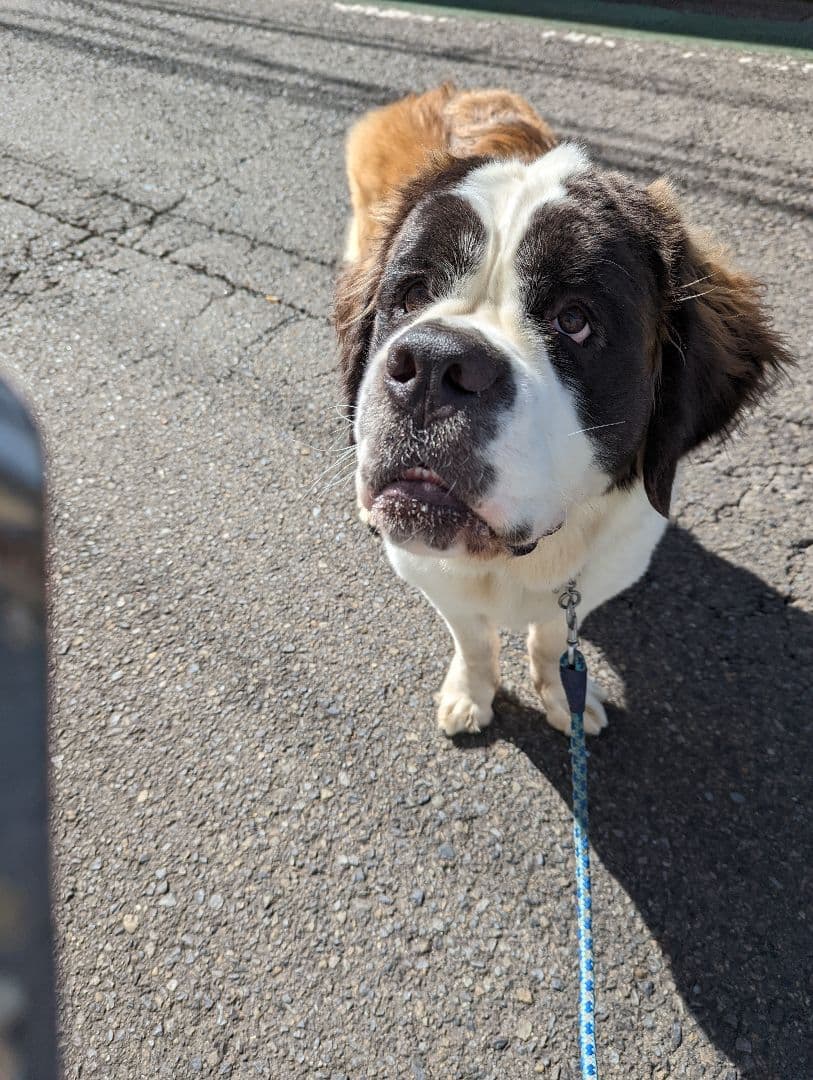 たまお様筆文字専用