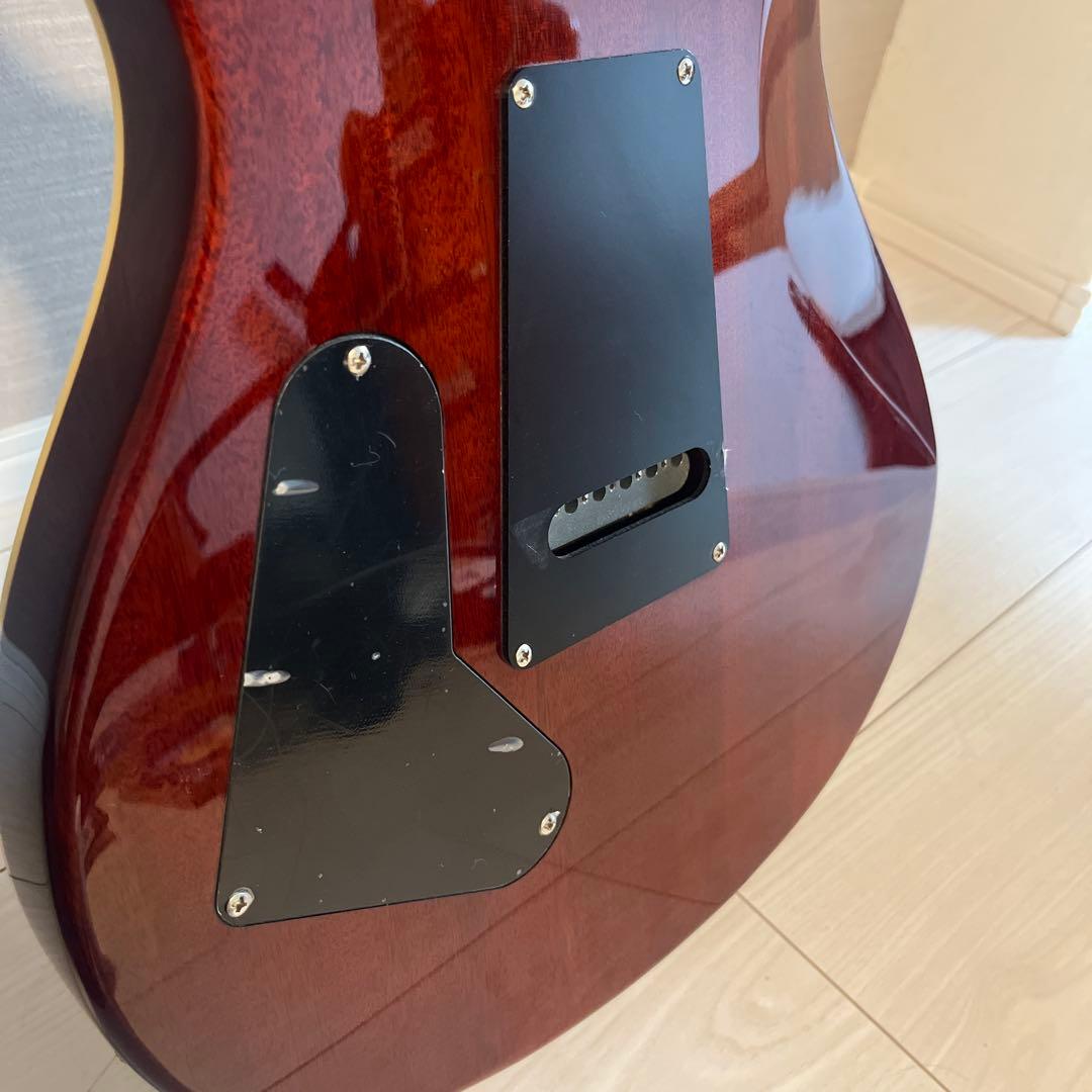 ギター PRS SE Standard custom24
