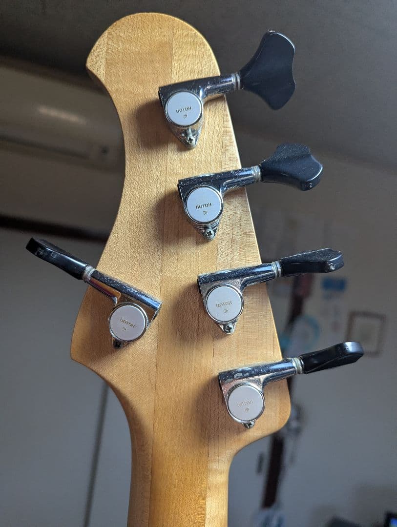 Bacchus5弦パッシブジャズベース　ハンドメイドWOODLAND日本製中古品