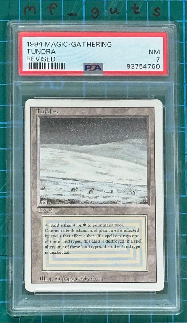 マジック：ザ・ギャザリング 1994 Magic: The Gathering Tundra NM